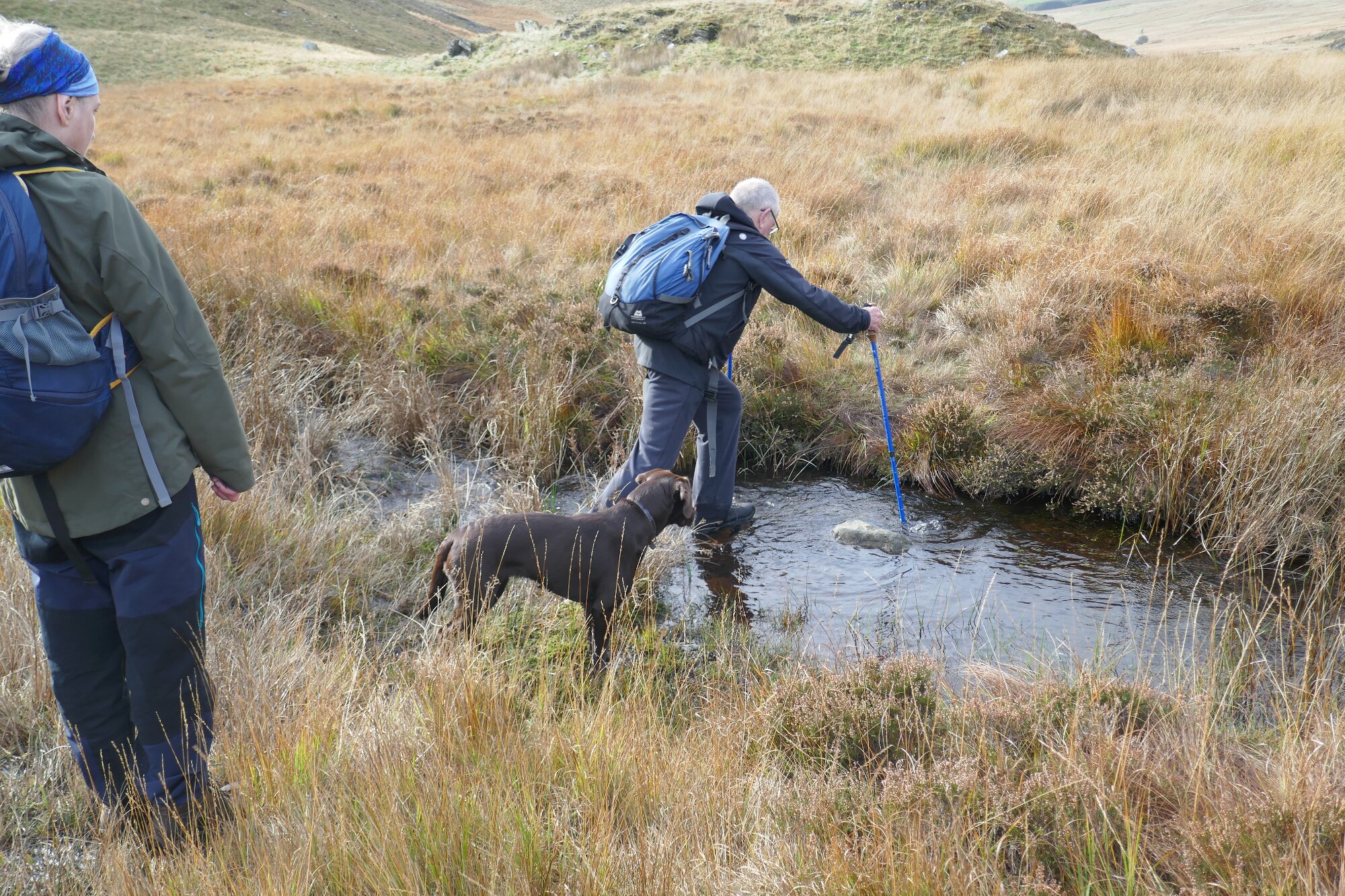 RachelSeabrook.net | Wild Walking | Teifi Pools | pic38